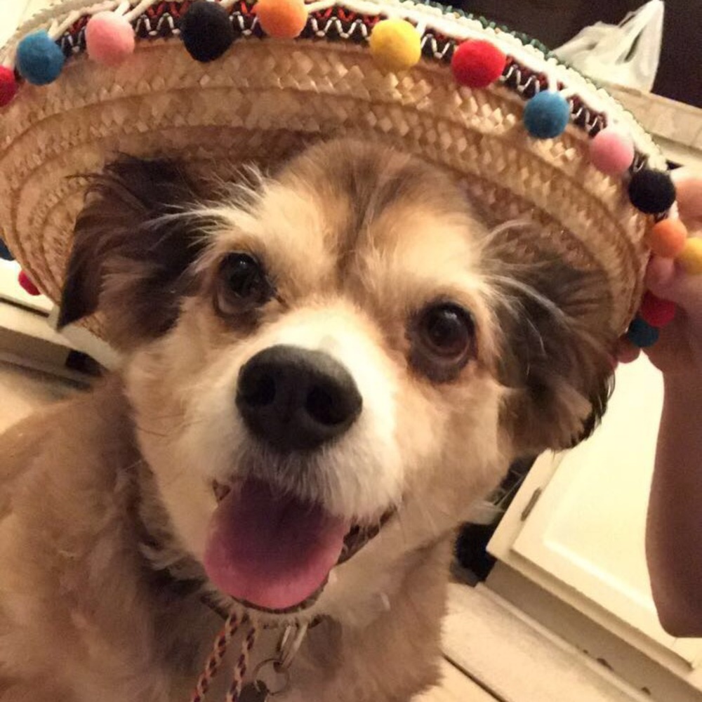 Meet your Posher, Kara